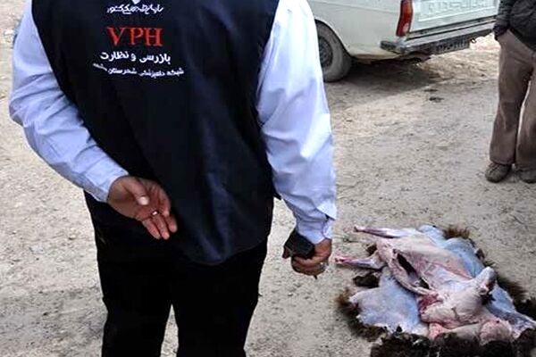 استقبال کنندگان از حجاج از کشتار دام در معابر عمومی خودداری کنند