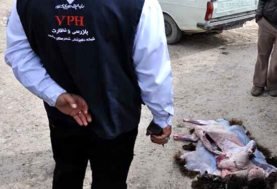 استقبال کنندگان از حجاج از کشتار دام در معابر عمومی خودداری کنند