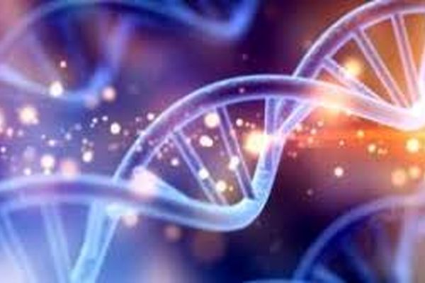 طول عمر شما را ژنتیک‌تان تعیین می‌کند؟