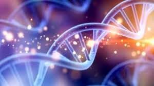 طول عمر شما را ژنتیک‌تان تعیین می‌کند؟