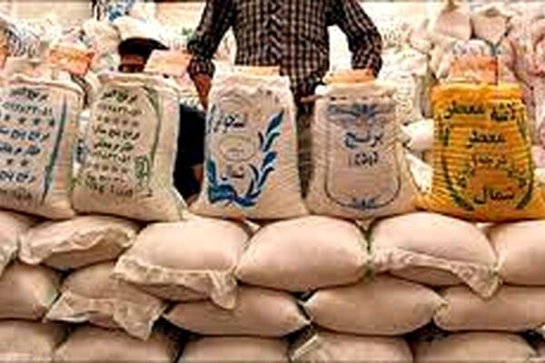 سودجویی برخی افراد یکی از عوامل افزایش قیمت برنج است