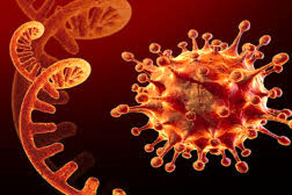 ۲۱ درصد بستری‌های اومیکرون در خراسان رضوی زیر ۱۶ سال هستند