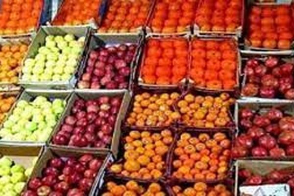 ذخیره سازی میوه تنظیم بازار شب عید در خراسان رضوی انجام شد