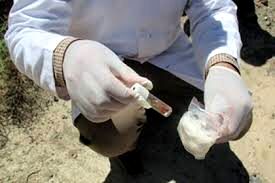 4 مورد مبتلا و مشکوک به هاری در نیشابور شناسایی شدند
