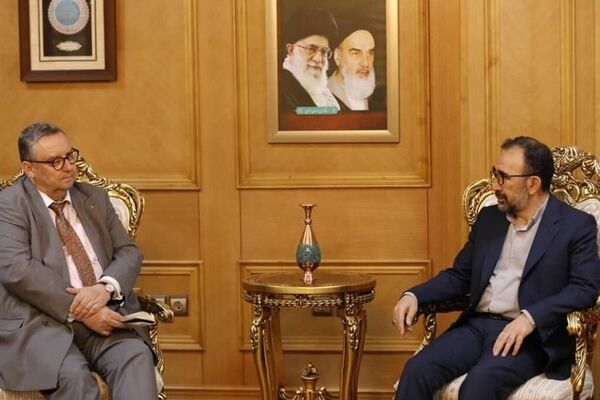 تاکید سفیر فنلاند بر توسعه روابط با جمهوری اسلامی ایران