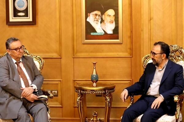 تاکید سفیر فنلاند بر توسعه روابط با جمهوری اسلامی ایران