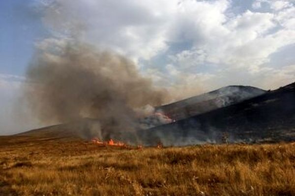 یک هکتار از مراتع پارک ملی تندوره درگز در آتش سوخت