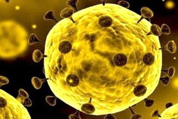 بازگشت وضعیت زرد کرونایی به مشهد