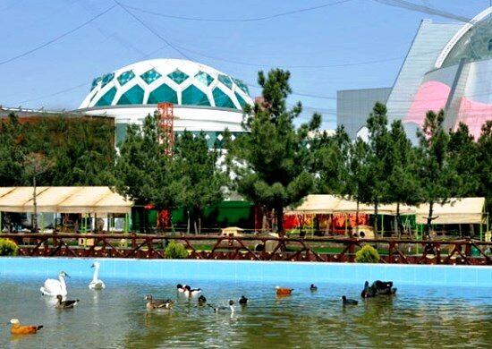 متولیان باغ پرندگان مشهد اخطار گرفتند