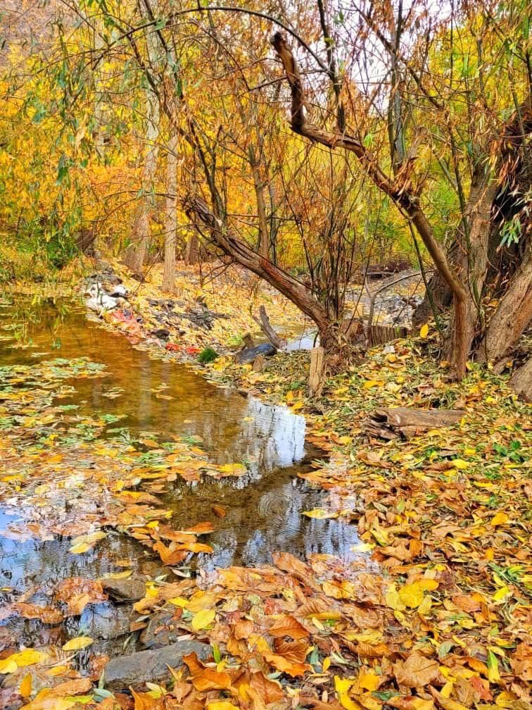 پاییز زیبای اطراف مشهد