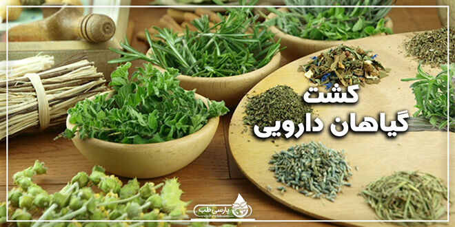 گیاهان دارویی صنعتی ارز آور/پرداخت تسهیلات به افراد جویای کشت گیاهان دارویی