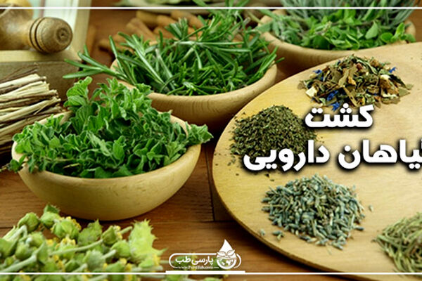 گیاهان دارویی صنعتی ارز آور/پرداخت تسهیلات به افراد جویای کشت گیاهان دارویی