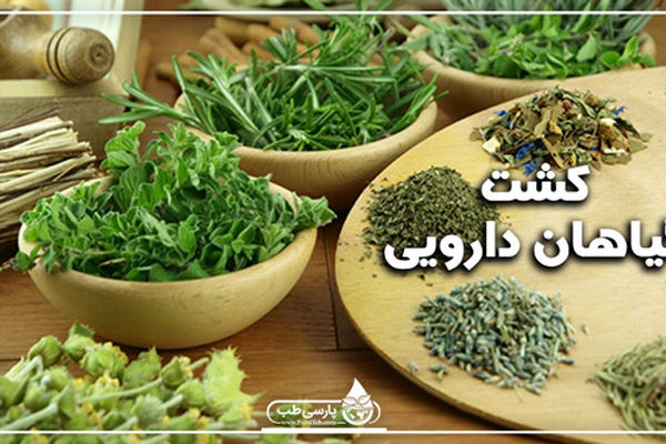 گیاهان دارویی صنعتی ارز آور/پرداخت تسهیلات به افراد جویای کشت گیاهان دارویی