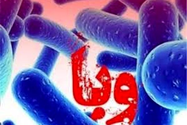 پیش‌بینی ۳ بیمارستان صحرایی برای شیوع احتمالی وبا در مشهد