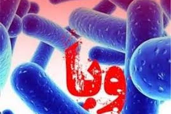 پیش‌بینی ۳ بیمارستان صحرایی برای شیوع احتمالی وبا در مشهد