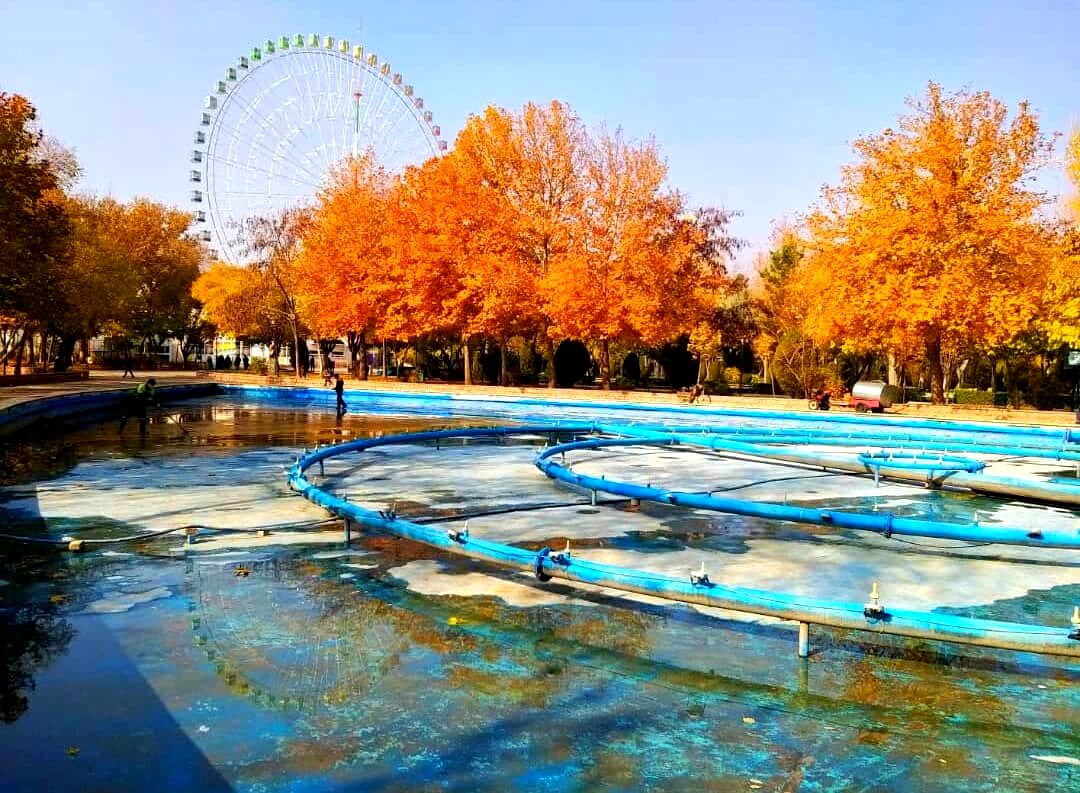 پاییز زیبای مشهد