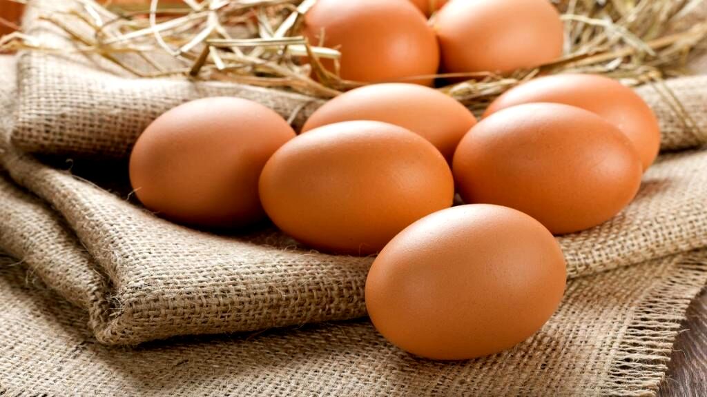 چرا قیمت تخم مرغ در خراسان رضوی افزایش یافته است؟