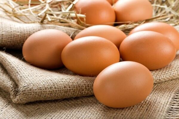 چرا قیمت تخم مرغ در خراسان رضوی افزایش یافته است؟