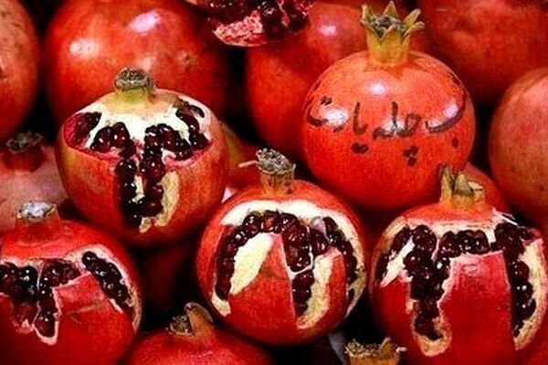 میوه شب یلدا گران می‌شود؟