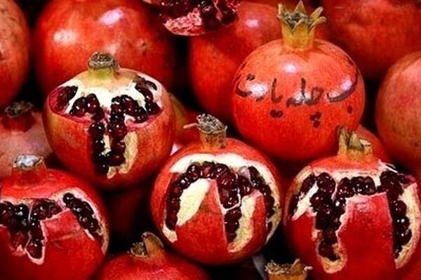 میوه شب یلدا گران می‌شود؟
