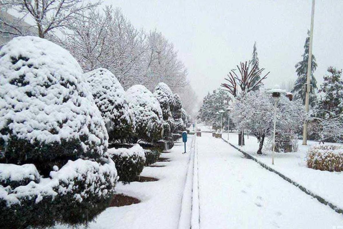 بارشهای پراکنده باران و برف خراسان رضوی را فرا می‌گیرد