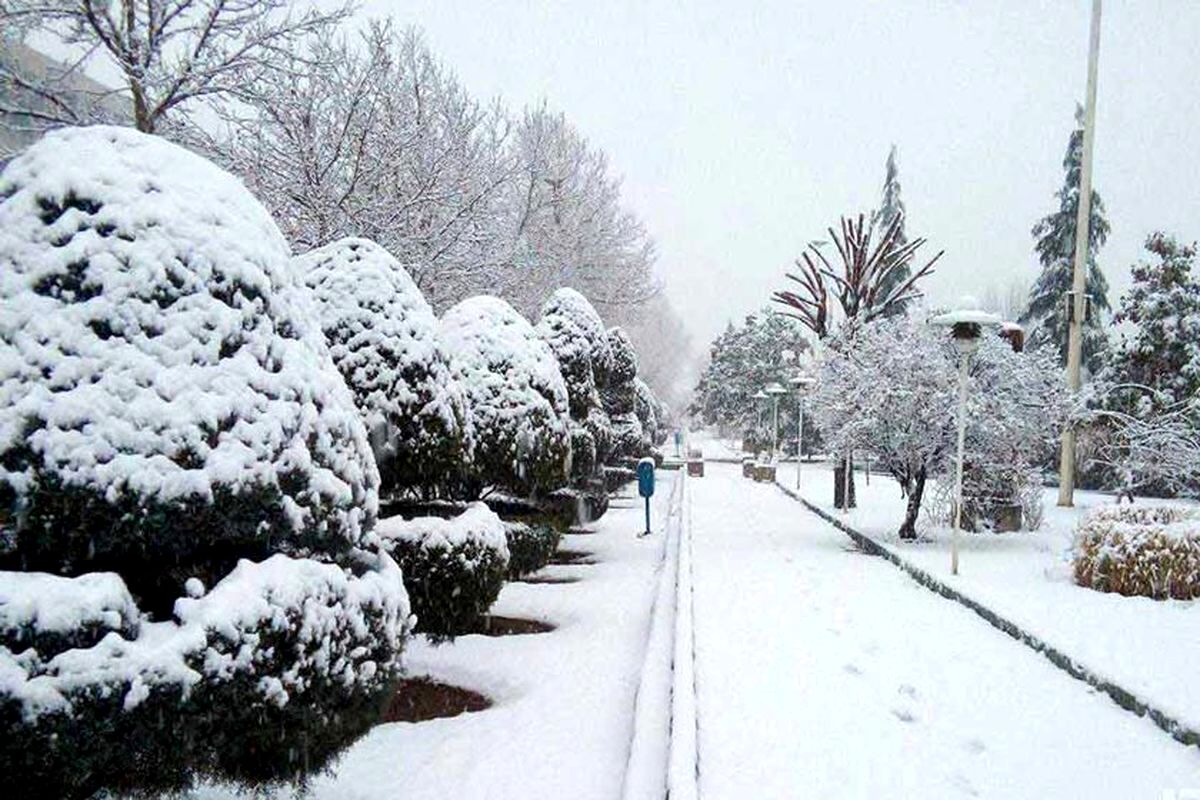 بارشهای پراکنده باران و برف خراسان رضوی را فرا می‌گیرد