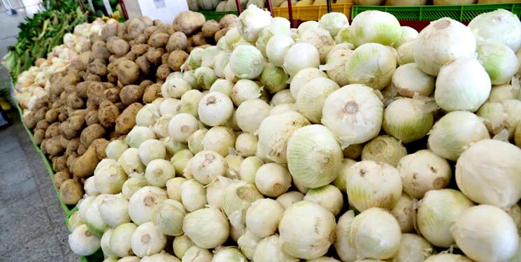 قیمت پیاز کاهش می‌یابد/ رفع کمبود پیاز و سیب زمینی در مشهد