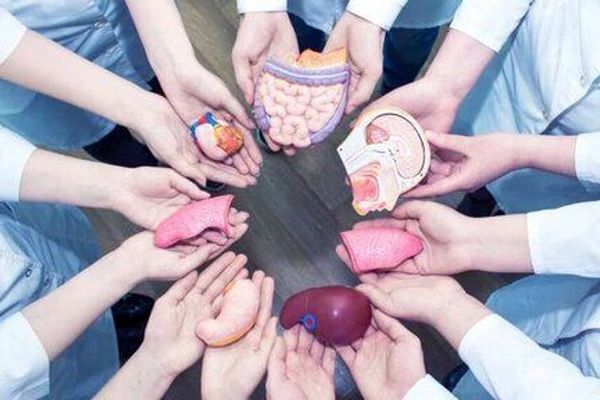 اهدای عضو به ۶ بیمار در مشهد زندگی دوباره بخشید