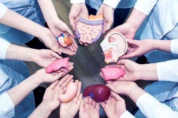اهدای عضو به ۶ بیمار در مشهد زندگی دوباره بخشید