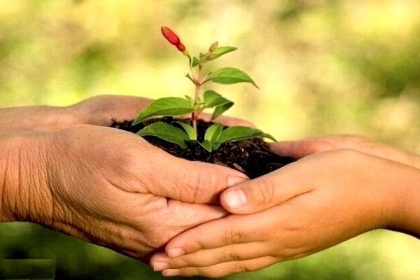 ۵۰ درصد سازمانهای مردم نهاد حوزه محیط زیست خراسان رضوی فعال هستند