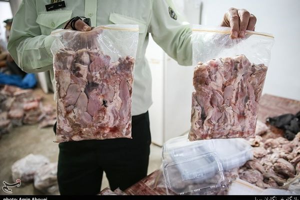 کشف و توقیف ۱.۵ تن گوشت فاسد در مشهد
