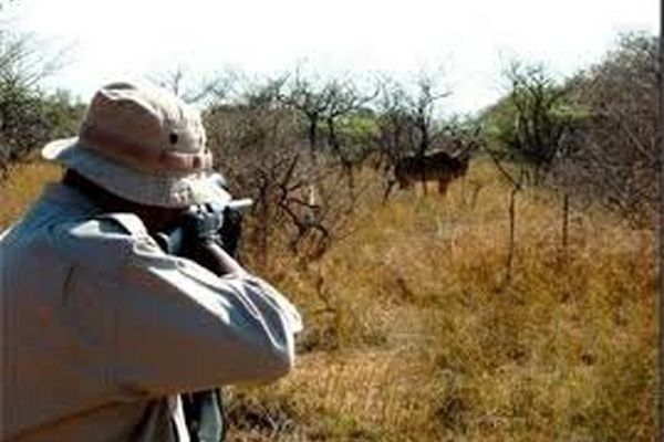 ۵۰ شکارچی متخلف در خراسان رضوی دستگیر شدند