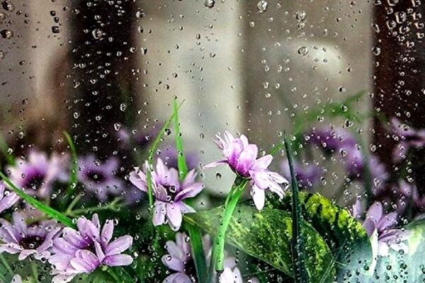 ورود سامانه بارشی جدید به خراسان رضوی/هوای سرد در راه است