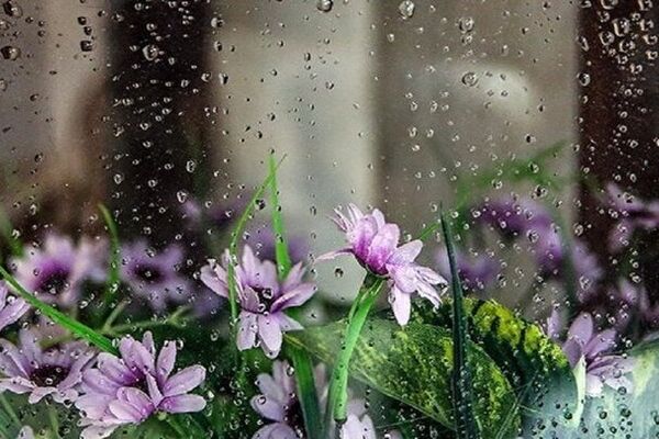 ورود سامانه بارشی جدید به خراسان رضوی/هوای سرد در راه است