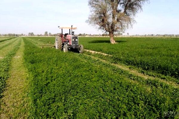 بالغ بر ۱۱ میلیون هکتار منابع و زمین‌های مستعد کشاورزی در خراسان رضوی وجود دارد
