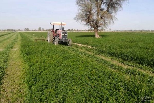 بالغ بر ۱۱ میلیون هکتار منابع و زمین‌های مستعد کشاورزی در خراسان رضوی وجود دارد