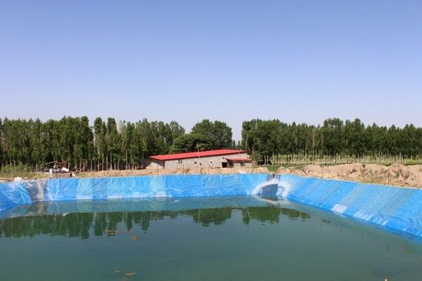 شیرجه مرگ در استخرهای کشاورزی