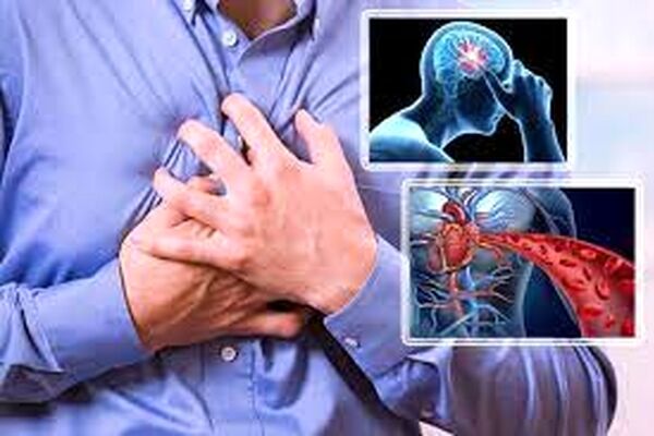 علت ۳۵ درصد مرگ و میرهای کشور بیماریهای قلبی است