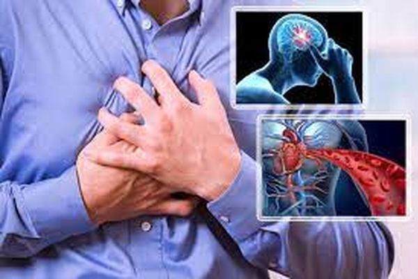 علت ۳۵ درصد مرگ و میرهای کشور بیماریهای قلبی است