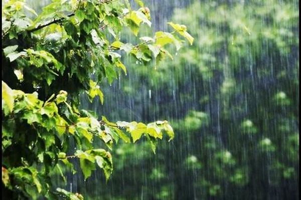 بارشهای پراکنده نیمه غربی خراسان رضوی را فرا می‌گیرد