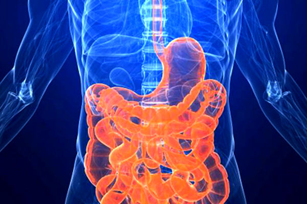 خراسان رضوی، منطقه پرخطر سرطان‌های گوارشی