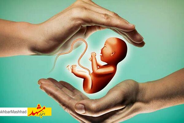 ۲۰درصد زوجین استان نابارور هستند/ناباروری در شیب افزایشی است