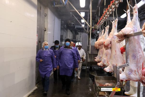 بازدید میدانی معاون استاندار خراسان رضوی از موسسه صنعتی گوشت مشهد