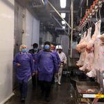 بازدید میدانی معاون استاندار خراسان رضوی از موسسه صنعتی گوشت مشهد