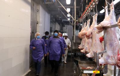 بازدید میدانی معاون استاندار خراسان رضوی از موسسه صنعتی گوشت مشهد