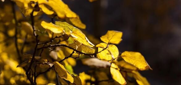 پیش‌بینی هواشناسی مشهد و خراسان رضوی