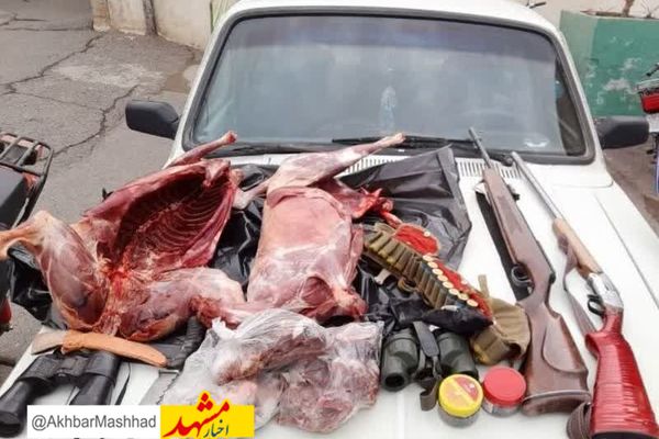 پلیس سبزوار شکارچی غیرمجاز آهو را به دام انداخت