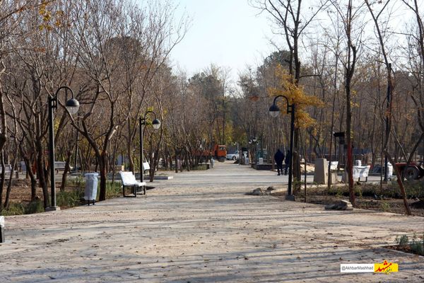 شهربانو صبا؛ سومین بوستان جنگلی ویژه بانوان مشهد هفته آینده به بهره‌برداری می‌رسد 