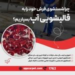 فواید تمیز کردن فرش برای سلامتی