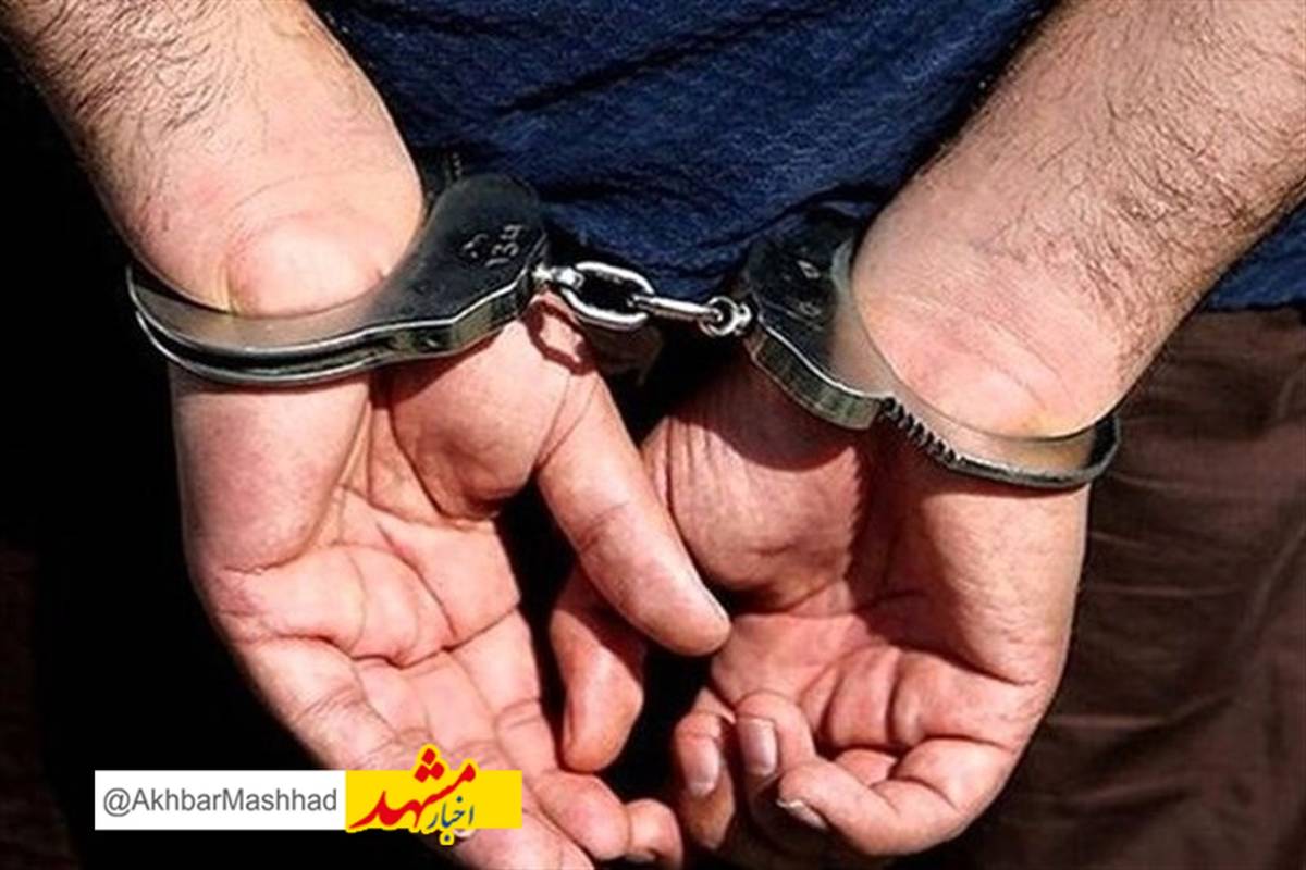 عاملان سرقتهای سریالی خودروهای سواری در مشهد دستگیر شدند